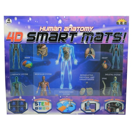 UPC: 0858030003030 | POPAR Human Anatomy Smart Mats Set of 4