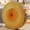 B, variant on Long Cylindrical Tree Branch Stump Pillow Realistic Cushion for Sofa Bed Home Throw Pillow Insert
