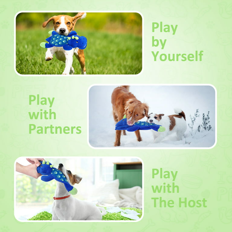 Kitsin 2 Pack Squeaky Plush Dog Toys, Unique Shape Dog Chew Toy