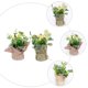 thumbnail image 4 of 2 piezas de plantas artificiales decorativas de simulación de plantas en maceta, 4 of 5
