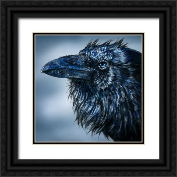 LaMontagne, Patrick 12x12 Black Ornate Wood Framed with Double Matting Museum Art Print Titled - Blue Beak Raven