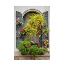 Laura DeNardo 'Italian Window Flowers IV' Canvas Art