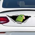 thumbnail image 1 of GHSDFBB parrotlet Female car Decal, parrotlet Decal Vinyl Sticker for Cars, Windows, Walls, Fridge, Toilet and More-6 Inch, 1 of 2