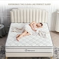 Essenza 12 Hybrid Latex And Innerspring Plush Mattress 12 inch Full Size Innerspring Mattress Firm, Hybrid Pocket Spring