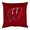 Sports Coverage College Locker Room Pillow