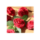 thumbnail image 2 of Rosas Artificiales Decoración Flor 8 Cm 25pcs ROJAS, 2 of 5