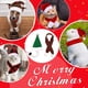 thumbnail image 5 of Ropa de regalo de Navidad para hámster, chinchilla, hurón, lagarto, 5 of 5