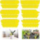 thumbnail image 1 of 60PCS Yellow sticker fungus gnats, yellow trap, fungus gnat, yellow plates, plug-in or hanging, yellow sticker against aphids, thrips, mining flies, f, 1 of 5
