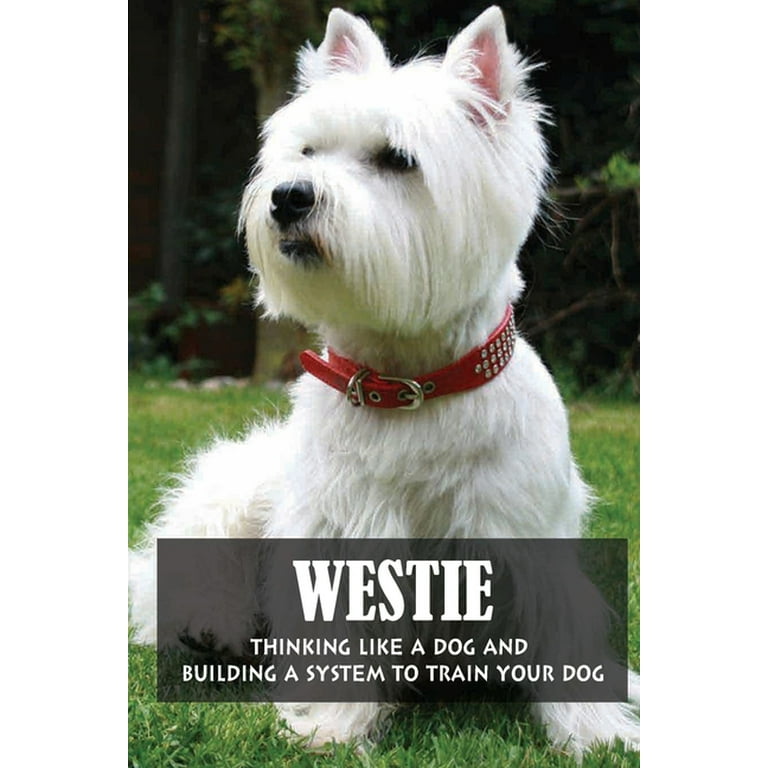How Do You Train A Westie Puppy