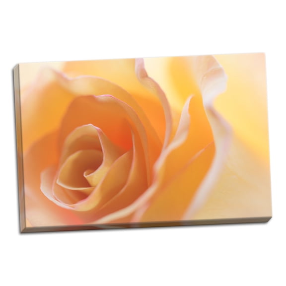 Gango Home Decor Yellow Roses II by Kathy Mahan (Ready to Hang); One 36x24in Hand-Stretched Canvas