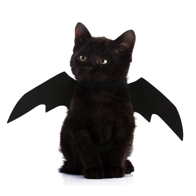 Disfraz de murciélago para mascotas con alas de murciélago para perros y gatos Jormftte ZJWJ528