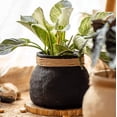 thumbnail image 6 of Faux Bamboo Woven Cement Planter, 6 of 13