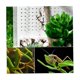 thumbnail image 5 of Caja transparente para cría de reptiles y anfibios, 1 Uds., 5 of 5