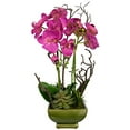 thumbnail image 1 of Nearly Natural 4990 Arrangement pour Orchidées et Succulentes, 1 of 1