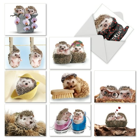 M6541OCB CARDS FROM THE HEDGE' 10 Assorted All Occasions Greeting Cards Featuring Sweet and Cuddly Hedgehogs in Unexpected Places with Envelopes by The Best Card