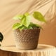 thumbnail image 5 of Cestas de almacenamiento, adorno, florero decorativo, organizador, cesta tejida para macetas L, 5 of 8
