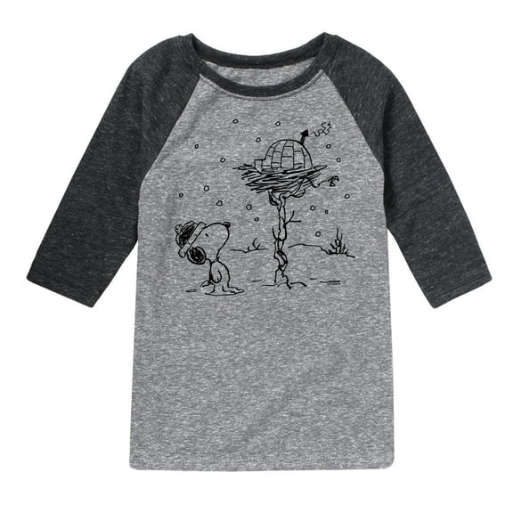 Peanuts - Snoopy Woodstock Igloo - Toddler & Youth Raglan Graphic T-Shirt