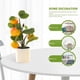 thumbnail image 3 of Plantas en maceta artificiales creativas de la planta verde de simulación de la decoración del hogar de los bonsais de la fruta, 3 of 5