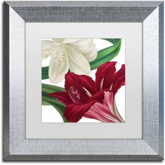 Trademark Fine Art "Christmas Amaryllis II" Canvas Art by Color Bakery White Matte, Silver Frame