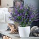 thumbnail image 5 of Decoración del hogar Lavanda Plantas artificiales de exterior Plantas colgantes de interior y exterior Jardines verdes Porches Bodas en casa Casas rurales Decoración exterior Terrazas Lavanda artifici, 5 of 6