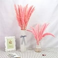 thumbnail image 6 of 15pcs Dried Flowers 17 inch Natural Dried Pampas Grass Reed Plant with Box Real Flowers Romantic Wedding Flower Bulrush Bouquets Flavorful Durable for DIY Home Decor Matching Photography (Pink), 6 of 14