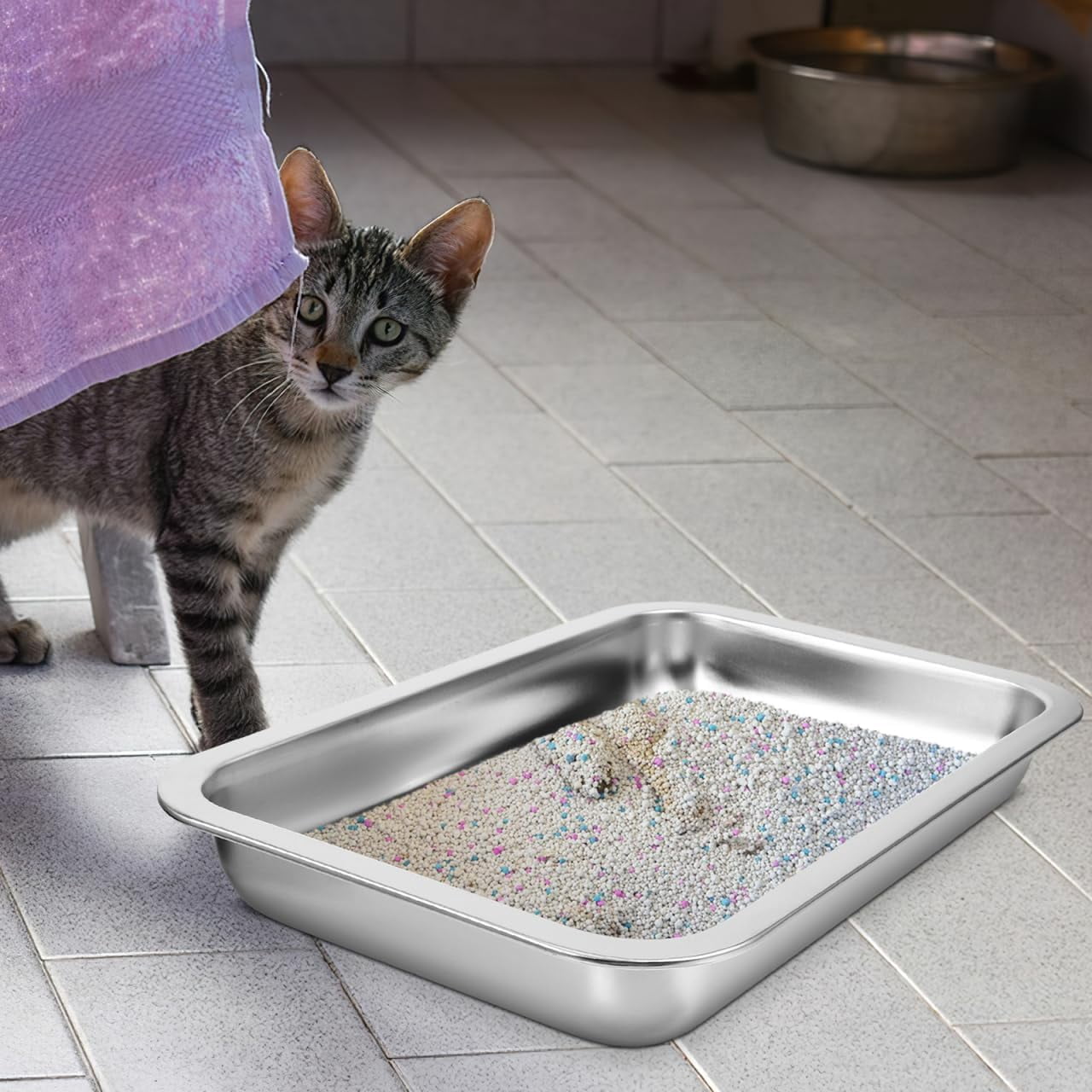 ABCISI Stainless Steel Cat Litter Box- Low Entry Litter Box for Small Cats Hamster Rabbits, Small Open Nonstick Metal Kitten Litter Tray, 31.50X21.50X4.50CM, Silver