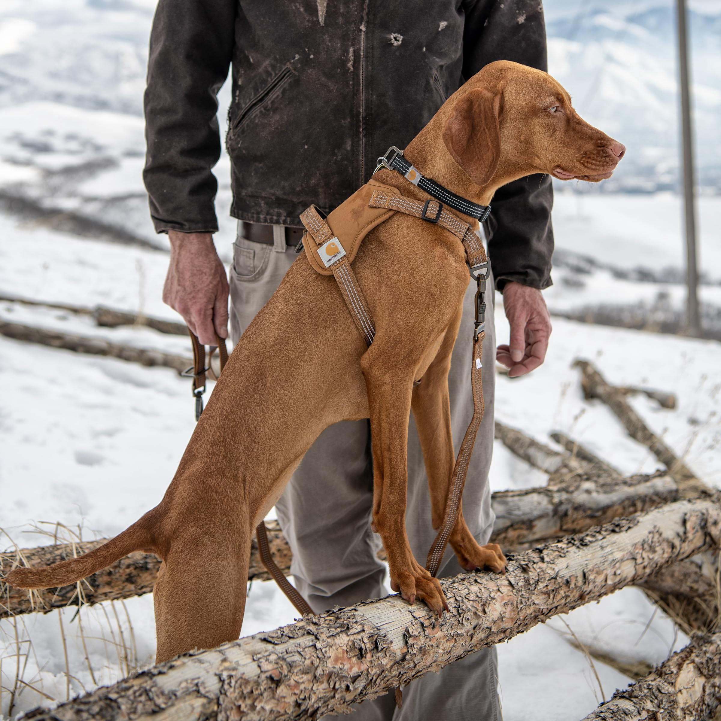 Nylon Duck No Pull Dog Harness  Fully Adjustable With Quick Control Handle And Reflective Accents Brown Small