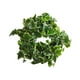thumbnail image 4 of Corona de primavera, hojas artificiales, corona de pared, corona decorativa de hojas verdes para 35cm, 4 of 9