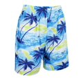 thumbnail image 1 of Pantalones Cortos Hombres Hawaianos Playa Ropa Accesorio Disfraz Tropical Ropa Cómoda Palmera Estilo 2 Salvador Shorts de playa hawaianos, 1 of 8