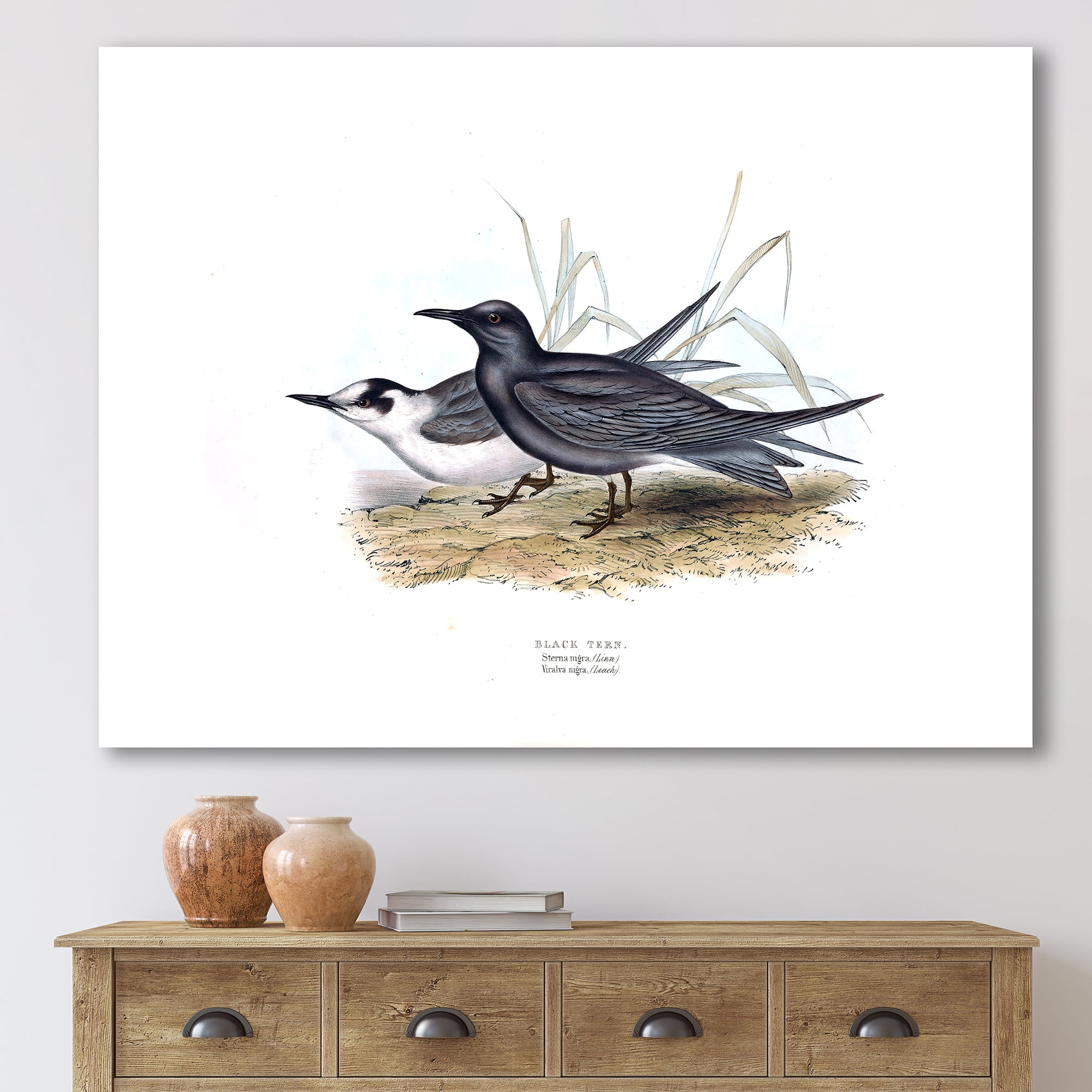 Designart ' Ancient Bird Of Europe II ' Traditional Canvas Wall Art Print