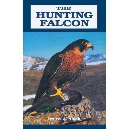 Hunting Falcon
