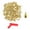 Gold, variant on WINDLAND 120Pcs 1/4Inch Track Spikes Track and Crosses Country Spikes with Spikes Wrench