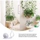 thumbnail image 3 of Plant Climbing Wall Fixture Clips, Self Adhesive Vine Fixer Wall Hook, Fixture Wall Sticky Hook Vines Fixing Clip Vines Holder (3set (30pcs), Color As, 3 of 5