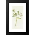 thumbnail image 2 of Margaret Armstrong 9x14 Black Modern Framed Museum Art Print Titled - Phacelia Grandiflora (1915), 2 of 5