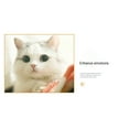 thumbnail image 7 of Pet Toys for Cats Replacement Head Teaser Wand Accessory for Manga Style Border Cat Toy Rod with Interactive Fishing Theme, 7 of 7