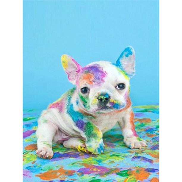 Diamante (DE6661) Cuadro de diamantes de imitación cuadrado de perro gato colorido DIY (WY186) 50x70cm FLhrweasw Nuevo