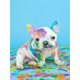 thumbnail image 1 of Diamante (DE6661) Cuadro de diamantes de imitación cuadrado de perro gato colorido DIY (WY186) 50x70cm FLhrweasw Nuevo, 1 of 1
