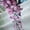 Blue Pink Purple, variant on Erosebridal Flying Butterflies Black Out Curtains For Teens,Girls Spring Garden Flowers Curtains Pack of 2 (42x63 Each),Pink Purple