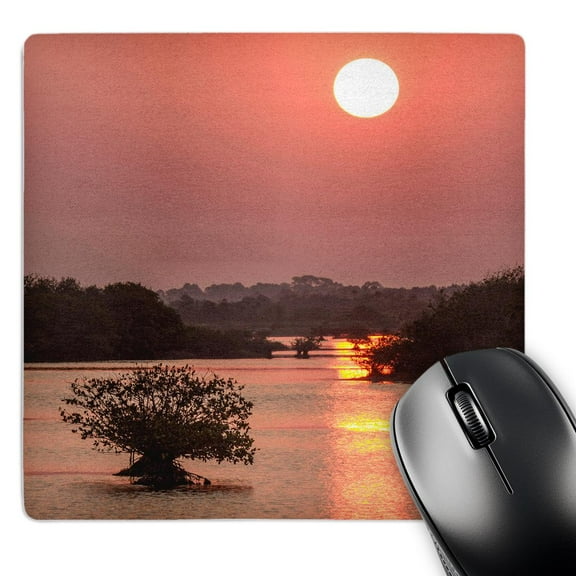 3dRose, Sunrise, mangroves and water in Florida, MousePad