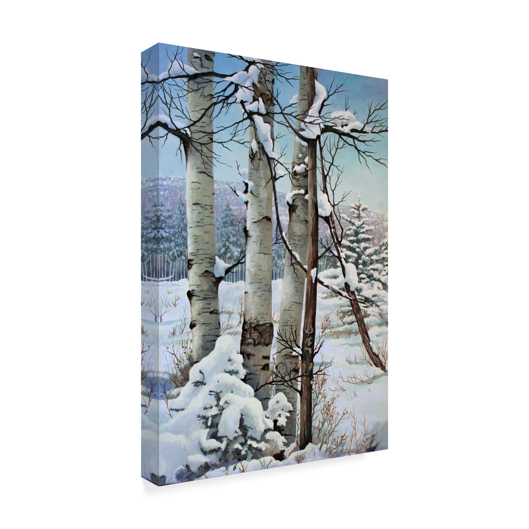 Trademark Fine Art 'Winter Snow with Aspen' Canvas Art by Carol J Rupp