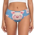 thumbnail image 1 of Balery Cute Pig Flowers Ropa Interior de Algodón para Mujer con Dibujo – Braguitas Cómodas y Elásticas, Estilo Clásico-Small, 1 of 6