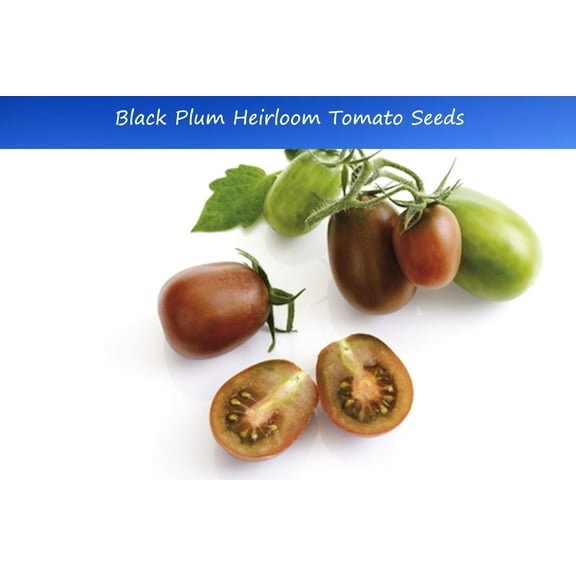 Tomato Seeds-Organic Heirloom 20 Vegetable Seeds - Rare Black Plum Tomato -  Fresh- Freezing - Flavorful - Great Addition to Salads
