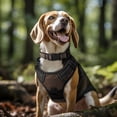thumbnail image 4 of Reflective nylon dog collar with adjustable padding, pet collar in multiple colors, suitable for daily use, from small to large dogs, rown XL, 4 of 7