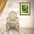 thumbnail image 3 of Gulin, Sylvia 12x14 Gold Ornate Wood Framed with Double Matting Museum Art Print Titled - Hawaii-Maui-Up Country-Kula-Kula Botanical Gardens with Rainbow eucalyptus trees, 3 of 4