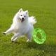 thumbnail image 3 of Pet Ring Limpiador de Dientes Juguete de Goma - Verde Xemadio 2035131-2, 3 of 9