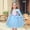 only dress, variant on 2-8T Girl Elsa Long Sleeve Princess Dress Costume for Birthday Party Halloween Cosplay Fancy Dress Up