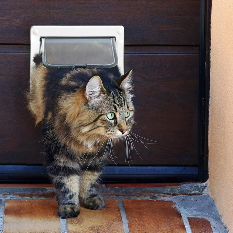 Cat opens door for dog top