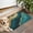 Teal Marble Gold, variant on Pink Marble Gold Line Pattern Door Rugs,Washable Non Slip Door Mats Indoor,Decorative Door Mats,Entry Mat Indoor for Entrance,Bedroom,Kitchen,Bathroom,17"x30"