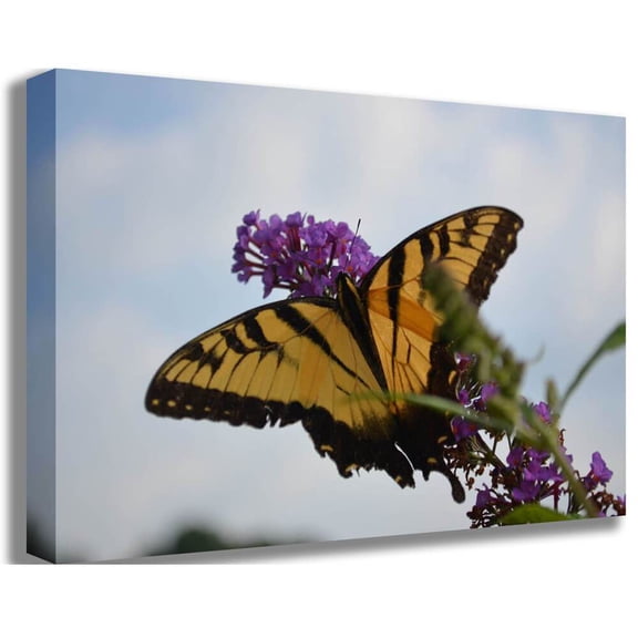 Baker "Butterfly Resting" Canvas Print