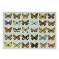 thumbnail image 1 of Butterfly Cutting Board, Butterfly Miracle Wings Joy Freedom Feminine Divine Sign Concept Art, Decorative Tempered Glass Cutting and Serving Board, Small Size, Multicolor, by Ambesonne, 1 of 1